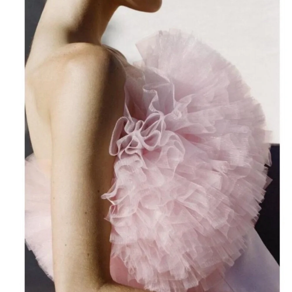 NWT ZARA SHORT TULLE VOLUMINOUS Mini DRESS Pastel Pink Size Small 4772/334 - Picture 5 of 10